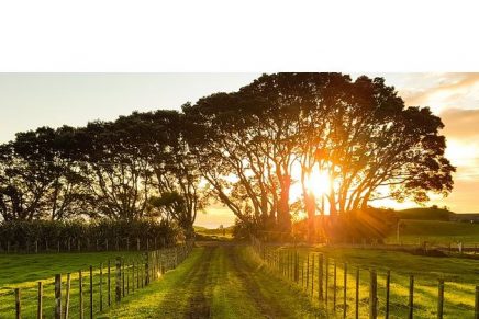 Conversemos con Dios: La esperanza de Dios