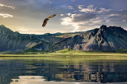 Conversemos con Dios: Gratitud a la vida-te-doy-gracias-dia