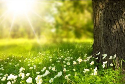 Él guía nuestro camino, nos acompaña y apoya, porque a pesar de los errores, Dios siempre nos abraza y nos dice: “aquí estoy para ti”.