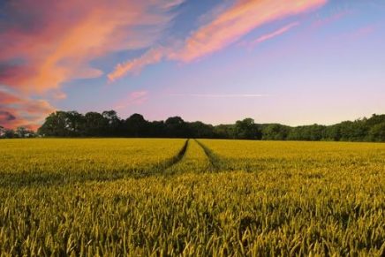 conversemos-con-dios-lecciones-de-vida