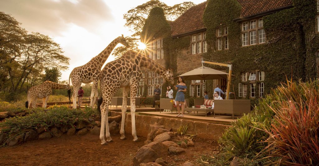 un-hotel-para-compartir-con-jirafas