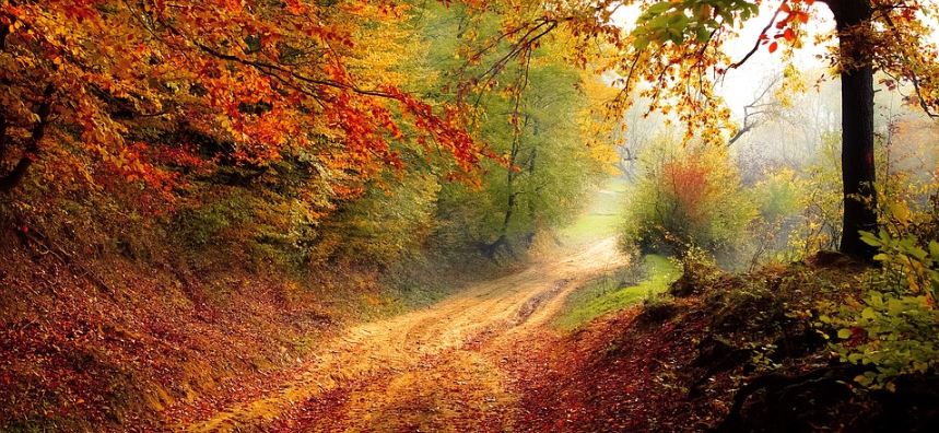 conversemos-con-dios-senor-guia-nuestros-pasos