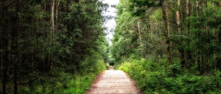 conversemos-con-dios-papa-dios