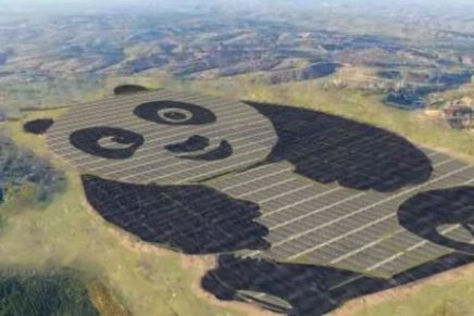 china-construyo-una-planta-de-energia-solar-con-forma-de-oso-panda