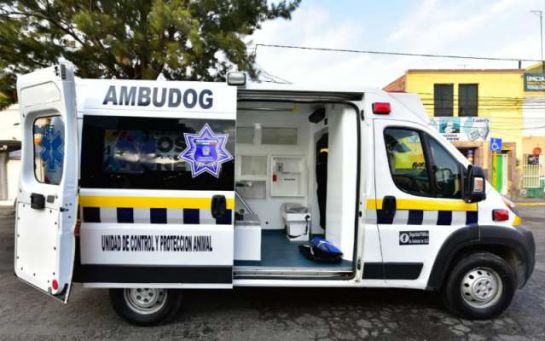 mexico-tendra-la-primera-ambulancia-para-atender-mascotas