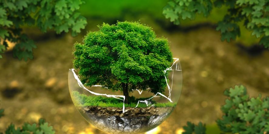 hoy-22-de-abril-dia-de-la-tierra