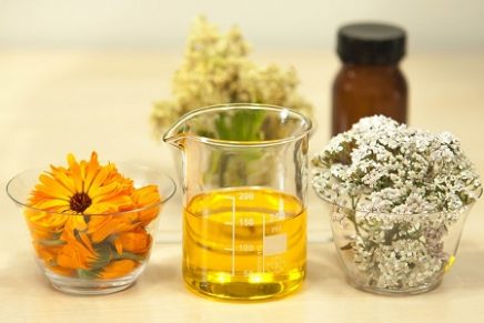 Productos naturales utilizados para la cosmética
