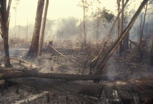 Incendio Amazonía