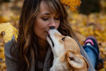 cuidado-besar-tu-perro-en-la-boca-podria-generar-cancer-de-estomago