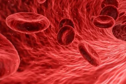 ¿Cómo fortalecer el sistema inmunológico para enfrentar el coronavirus?