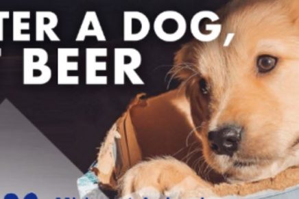 “Adopta un perrito y recibe 3 meses de cerveza gratis”, esta es la iniciativa de una cervecería en cuarentena