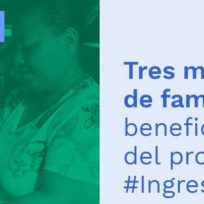 Descubren irregularidades en la entrega de subsidios solidarios