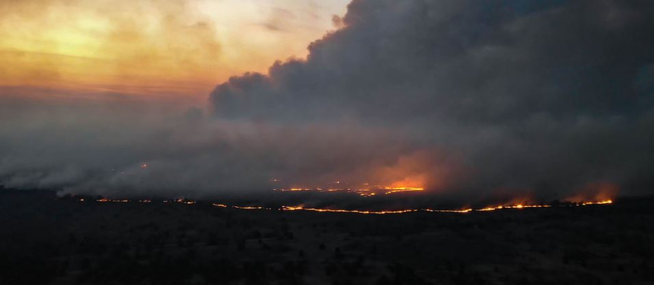 Los memes que dejaron los incendios en Chernobyl