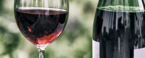 "Tomar vino en la noche ayuda a bajar de peso", aseguran expertos