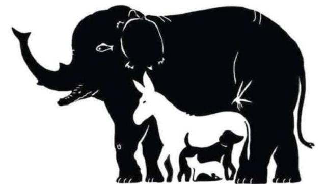 Resuelve esta ilusión óptica ¿Cuántos animales hay en la imagen?