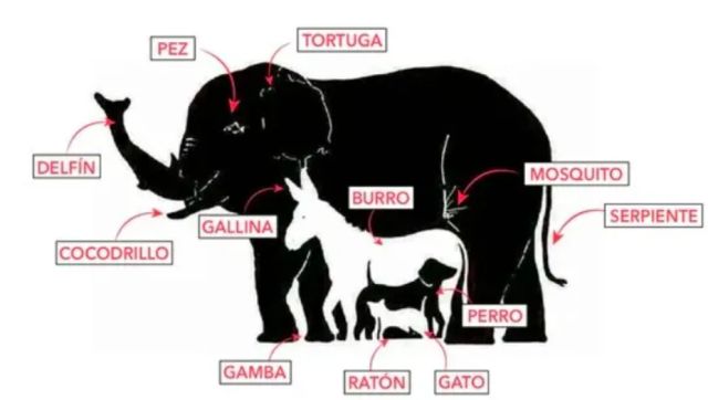 Resuelve esta ilusión óptica: ¿Cuántos animales hay en la imagen?