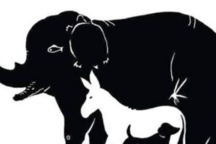 Resuelve esta ilusión óptica: ¿Cuántos animales hay en la imagen?