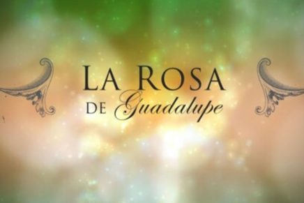 La Rosa de Guadalupe presenta nuevos capítulos inspirados en plataformas digitales
