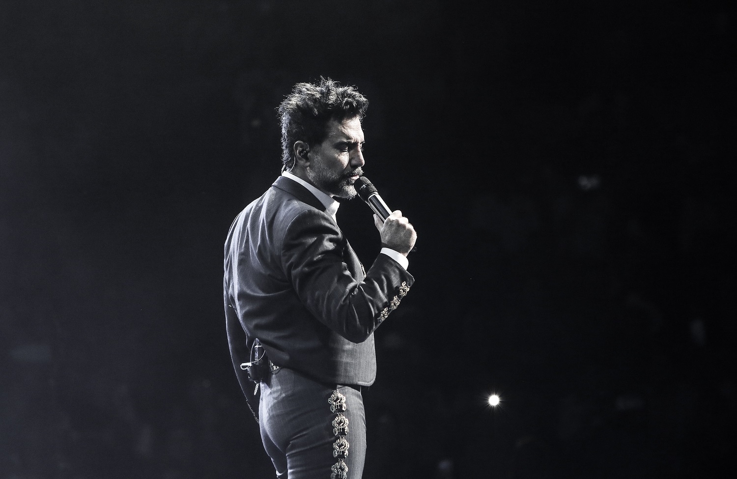 Alejandro Fernández enternece en redes al despedir a su amada perrita