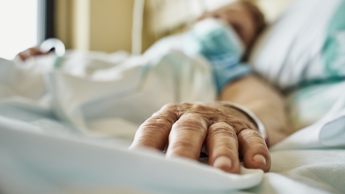 Mujer de 77 años fue mordida por un caimán y hospitalizada de urgencia