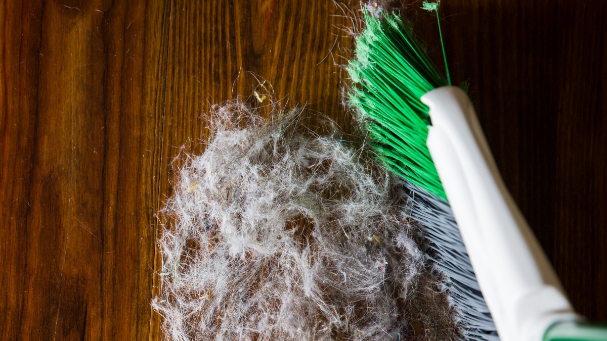 ¿Cómo evitar que la escoba se llene de pelusas? Truco de TikTok es viral