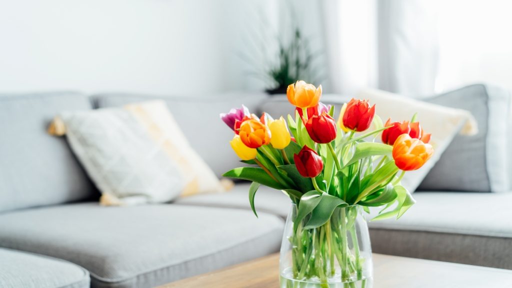  Tulipanes en un florero (Foto vía Getty Images