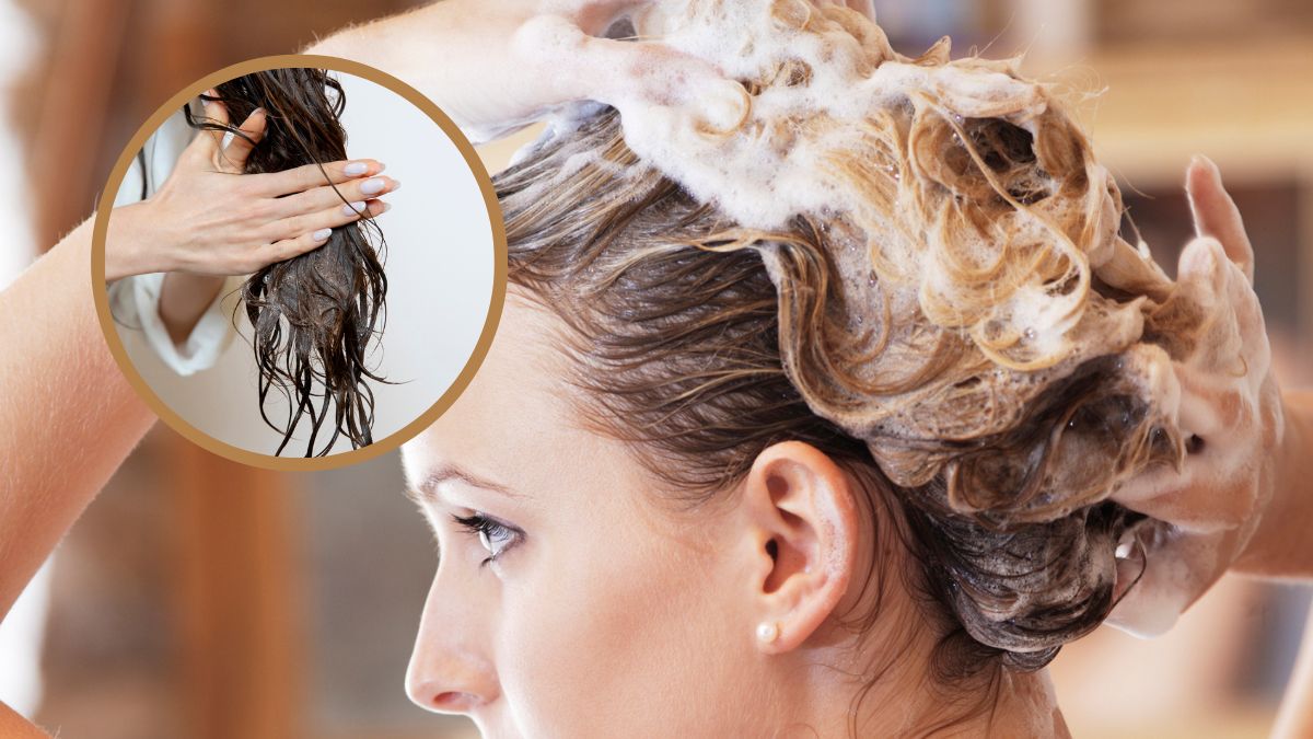 Imagen de referencia // 5 pre shampoos recomendados por estilistas y cuándo aplicarlos // Getty Images