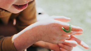Gusanos en casa | Getty Images