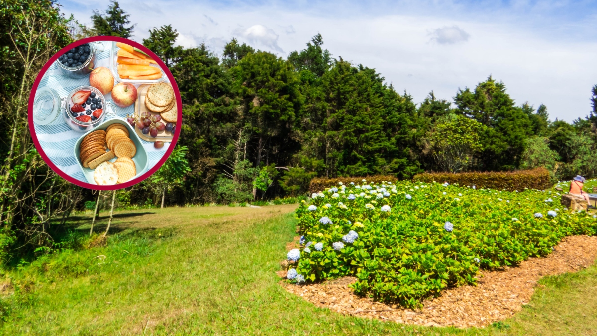 5 lugares en Medellín para hacer un picnic en familia: varios están rodeados de naturaleza