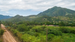 Crédito:Alcaldía Municipal de Jerusalén