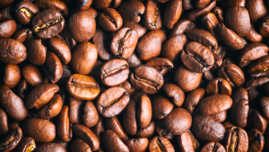 Crédito:Getty images