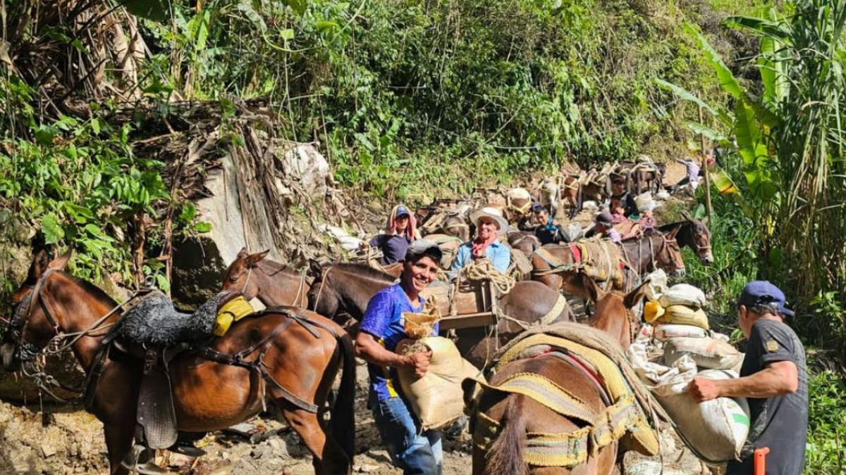 Crédito:Alcaldía de Nariño Antioquia