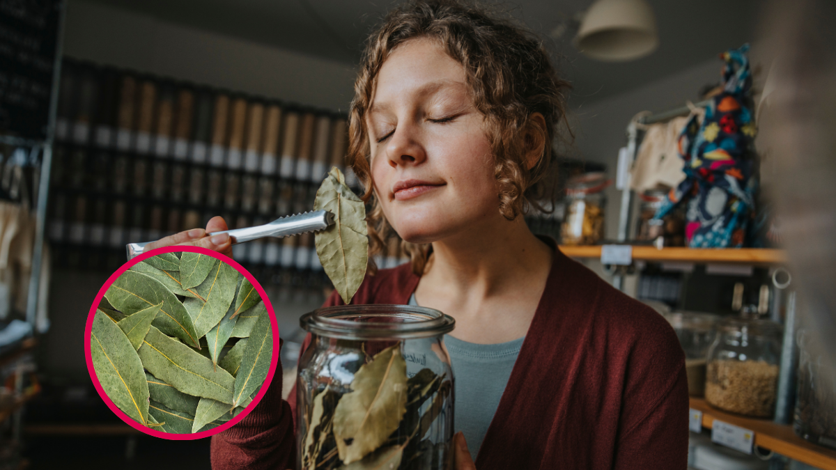 Crédito:Getty Images