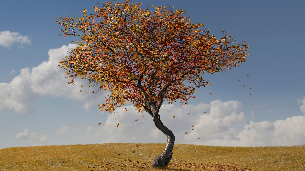 Crédito: Getty Images