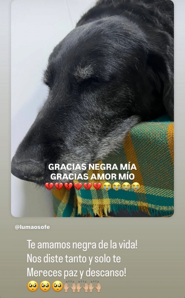 Crédito:@carolincacruzosorio