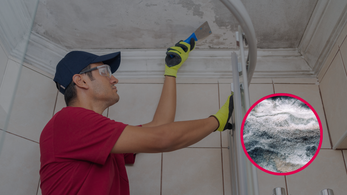 Persona limpiando la pared con humedad. Crédito. Getty images.