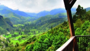 Vista de 'El mirador' .Crédito: Rutas del paisaje cultural cafetero.