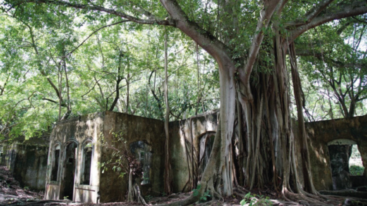 Casa después de la tragedia de Armero. Crédito: Ministerio de cultura.