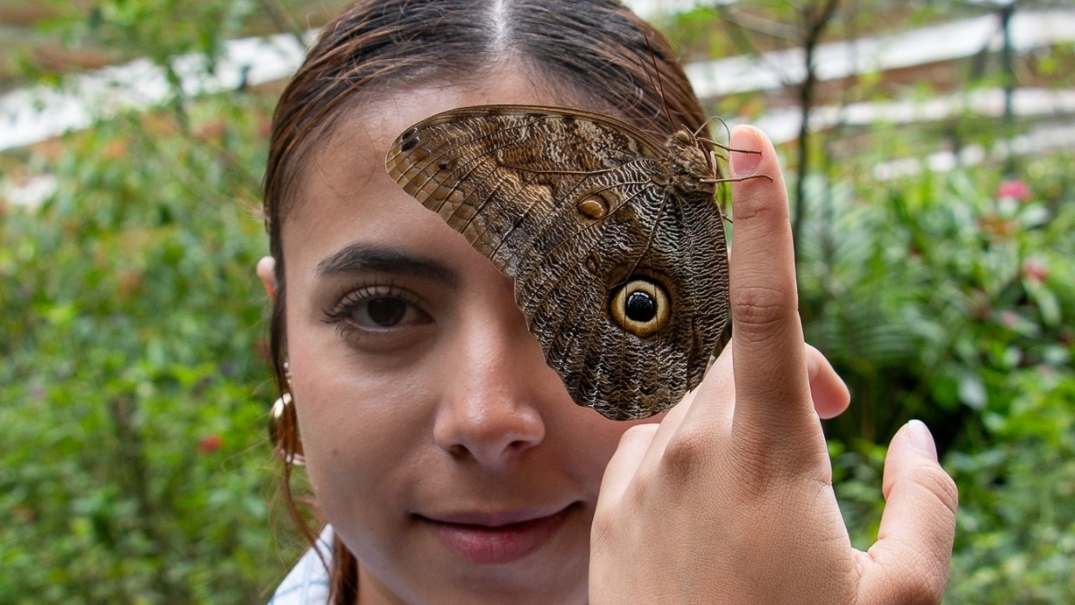 Mariposario + grande