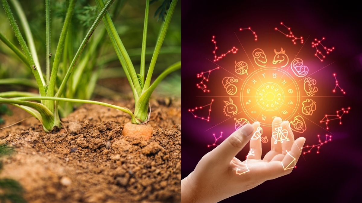 Signos zodiaco tierra