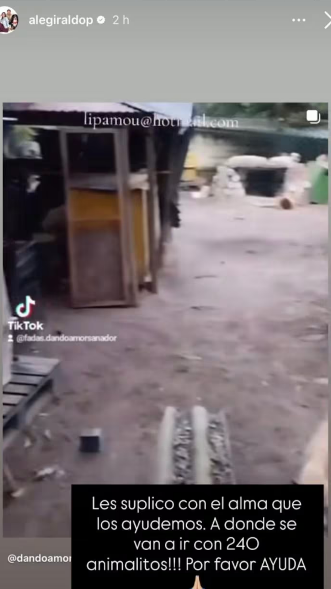 Historia de Alejandra Giraldo. | Crédito: @Alegiraldop