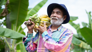 Señor con cultivo de plátanos. | Crédito: Getty images. 