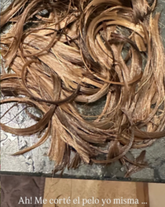 Corte de Karol G. | Crédito:@karolg