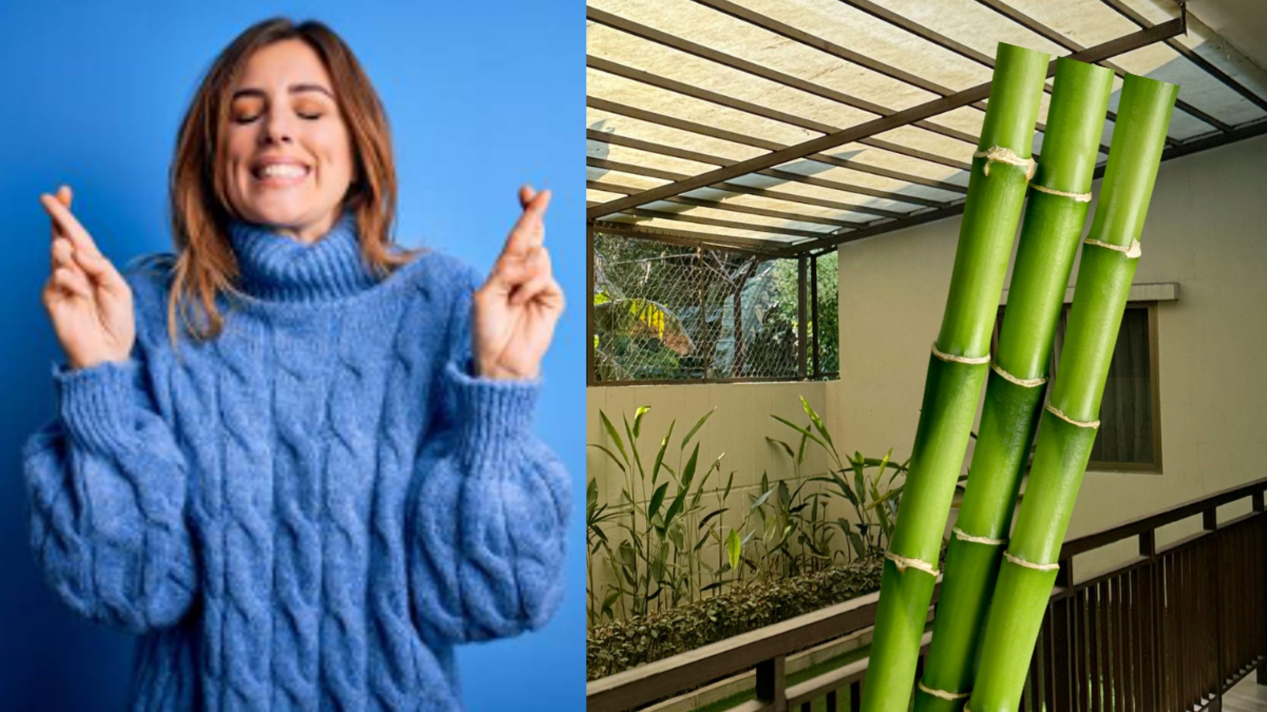 Palos de bambú de la suerte