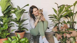 Planta Feng Shui | Getty Images