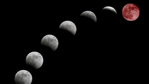 Fases de la Luna