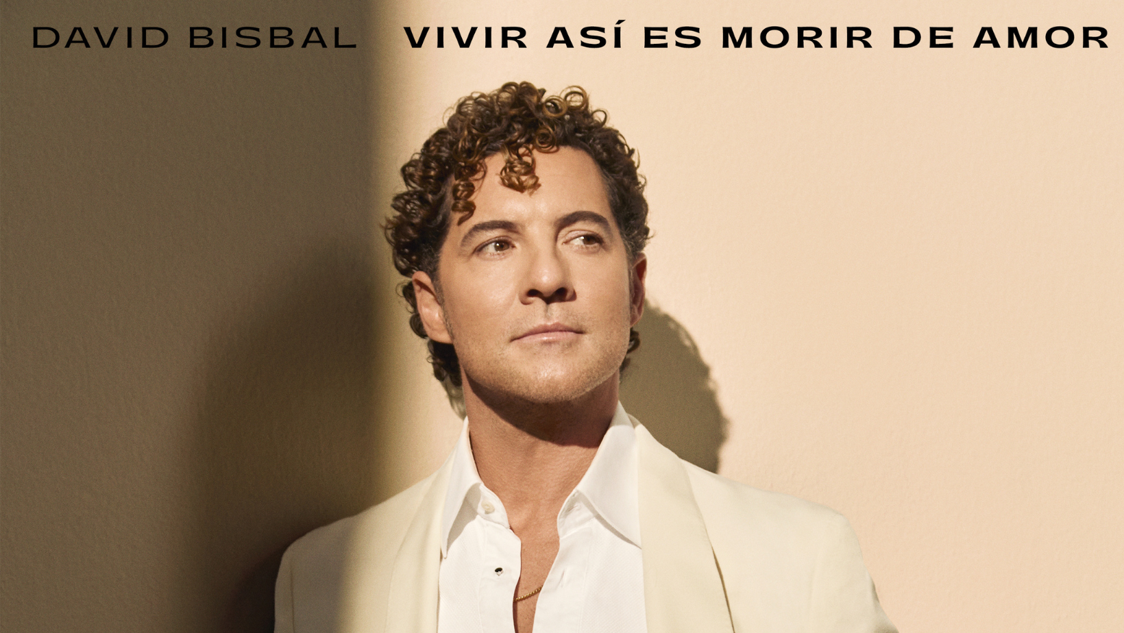 David Bisbal canción