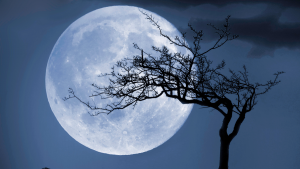 Luna azul